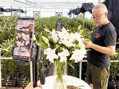 武清區梅廠鎮 一紙“花經濟”做強特色種植區